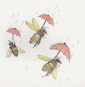Bees In Rain
