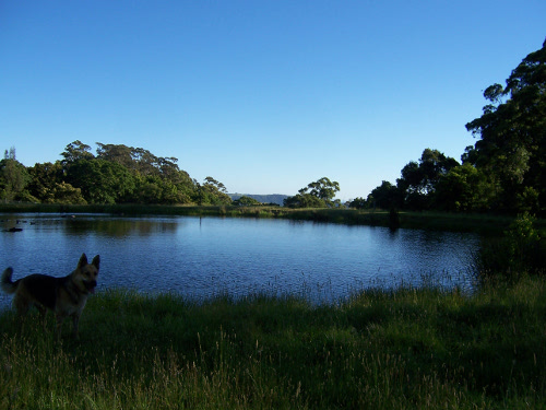 Rani by the lake