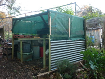 Seedling Shed