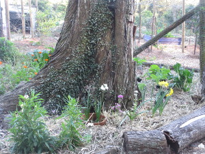 Tree stump corner